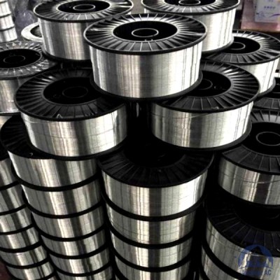 Проволока титановая 1,6 мм 2В купить в Хабаровске